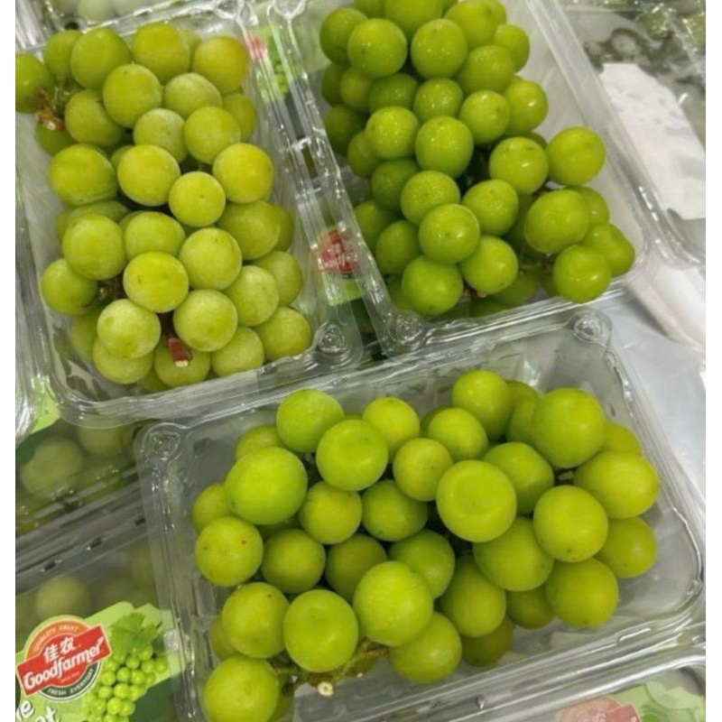 

anggur ijo shine muscat