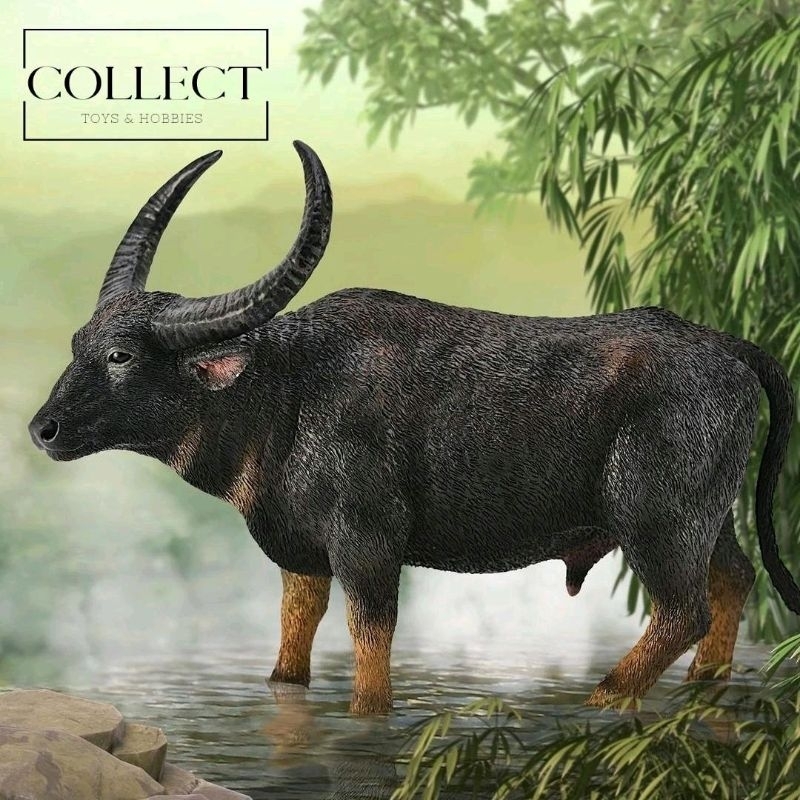 CollectA Wild Water Buffalo 88657 Sapi Dewasa Tua Asia Australia Coklat Hitam Tanduk Animal Figure F