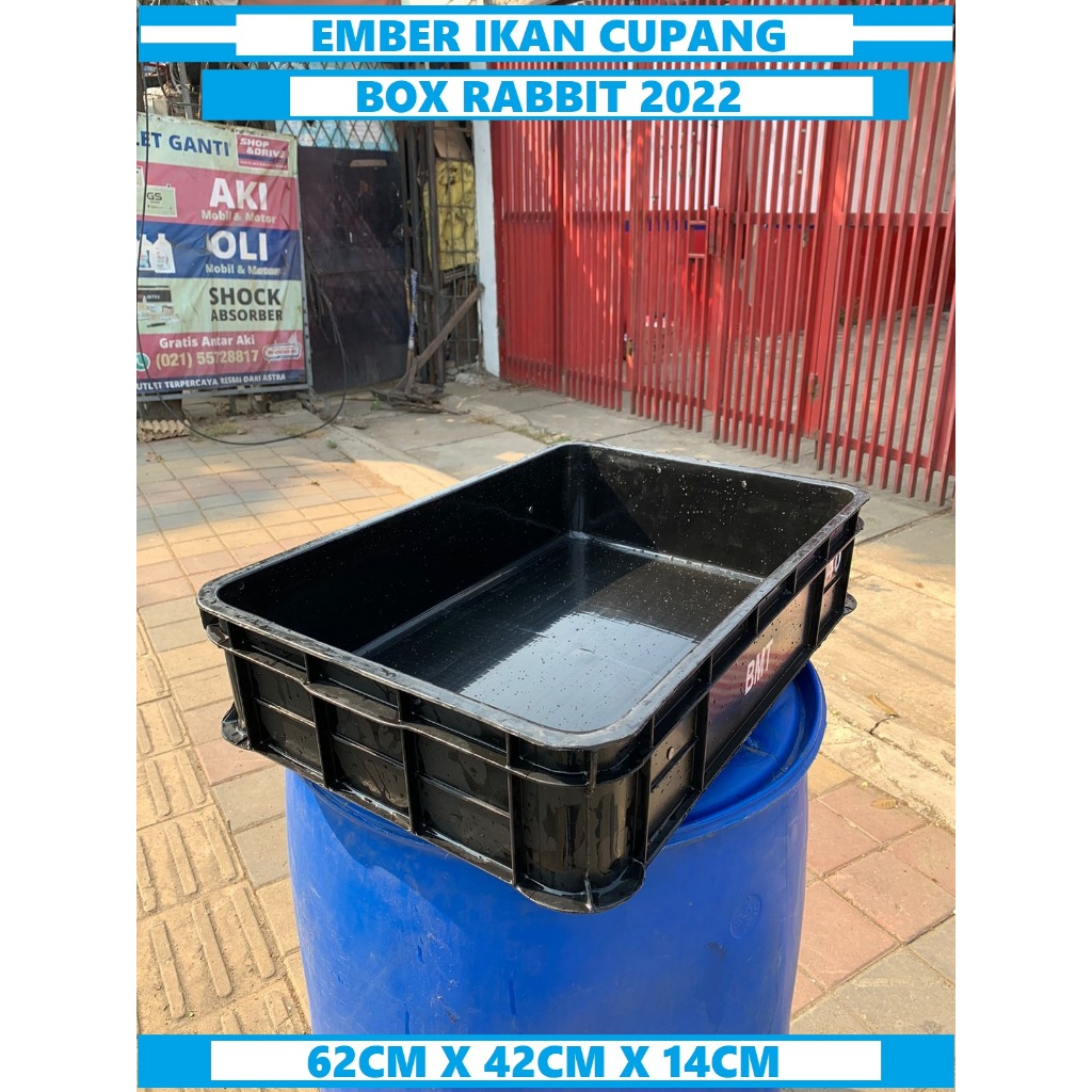 Box Budidaya Box Cacing Sutra Box Pasir Kucing Bak Plastik Cacing Sutra Box 2022