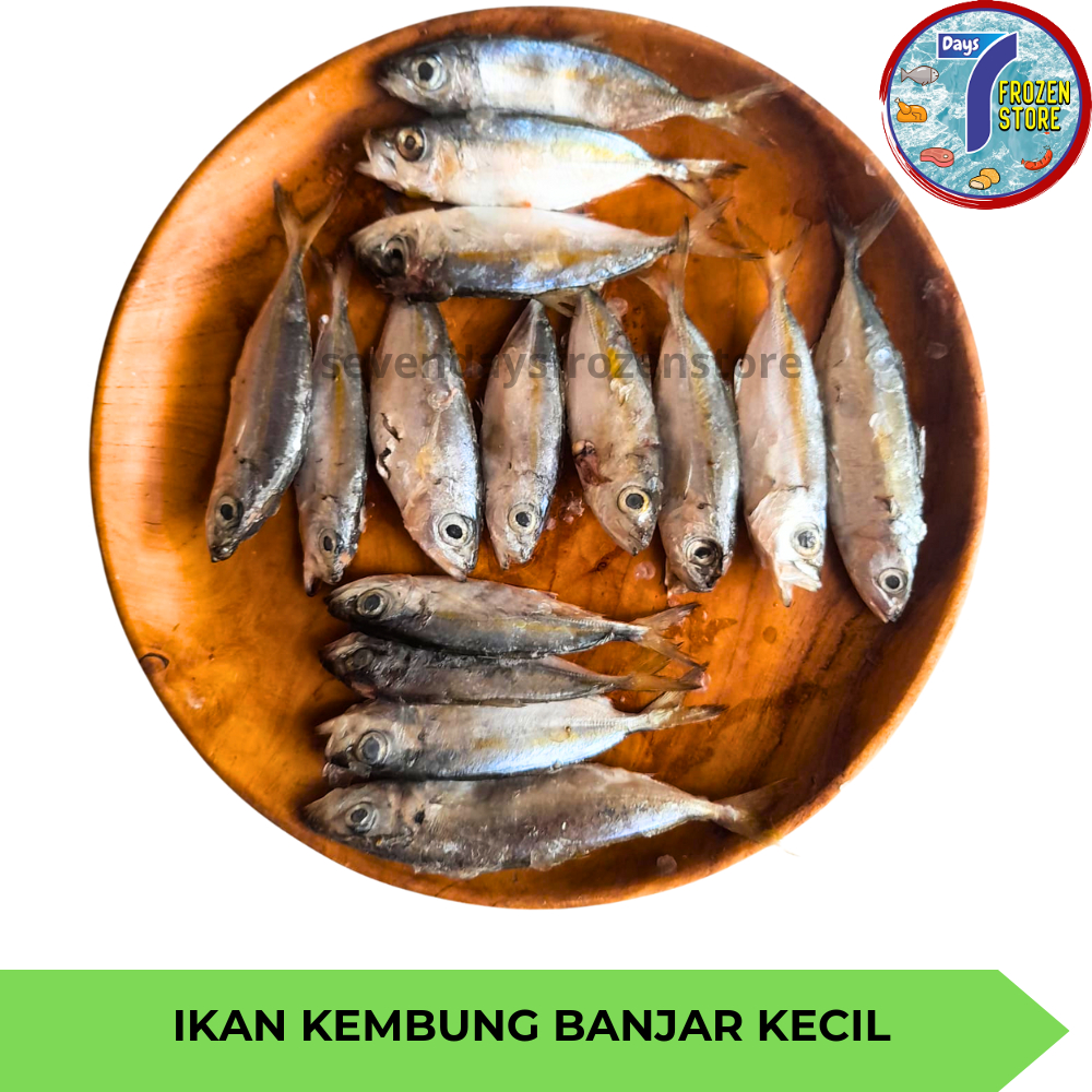 

Ikan Kembung Banjar Kecil Beku Frozen