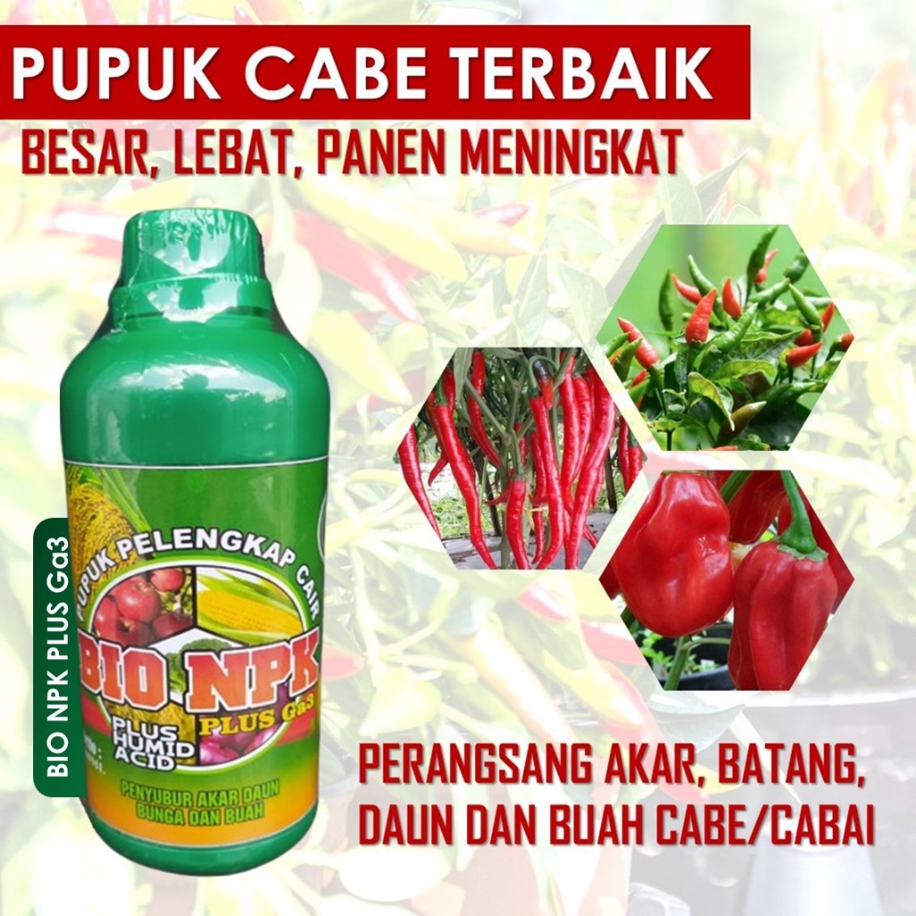 Pupuk Ajaib Pelebat Buah Cabe, NPK GAZA 500 ML Perangsang Buah Cabe Lebat, Pupuk Kalsium Cair Buah C