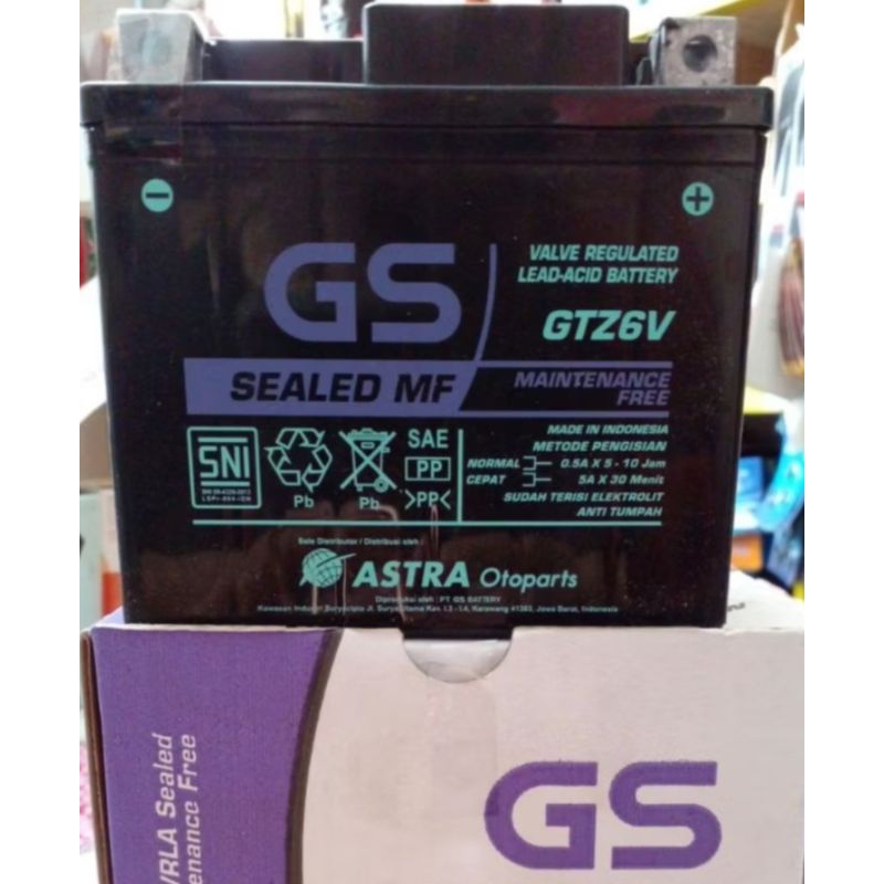AKI GS GTZ 6V