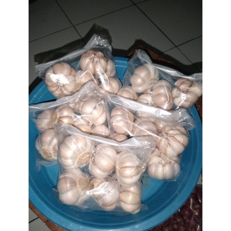 

Bawang Putih
