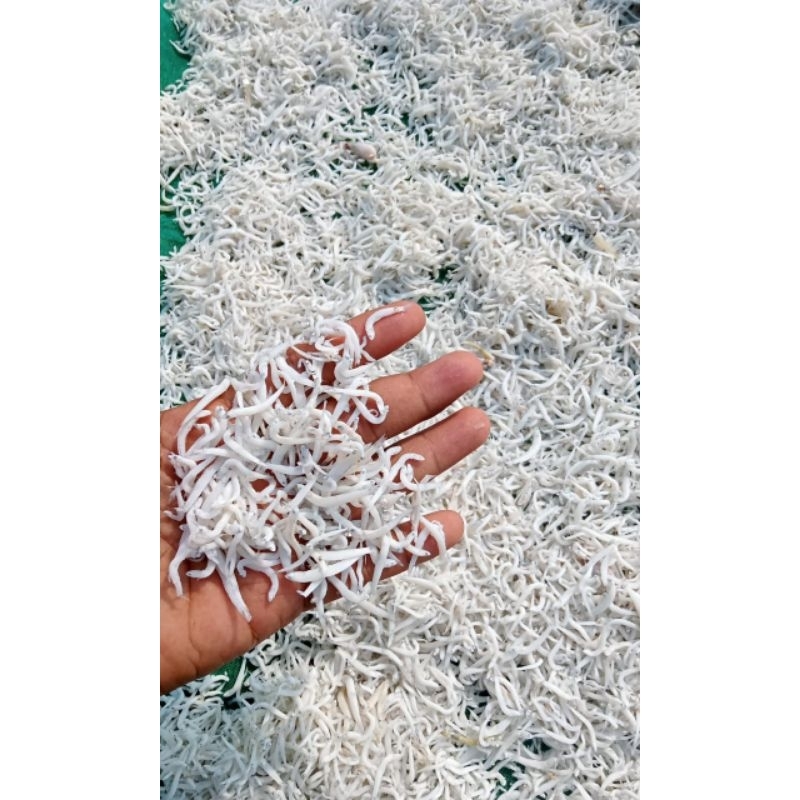 

teri medan super,teri nasi asin, tempong/ blenyik