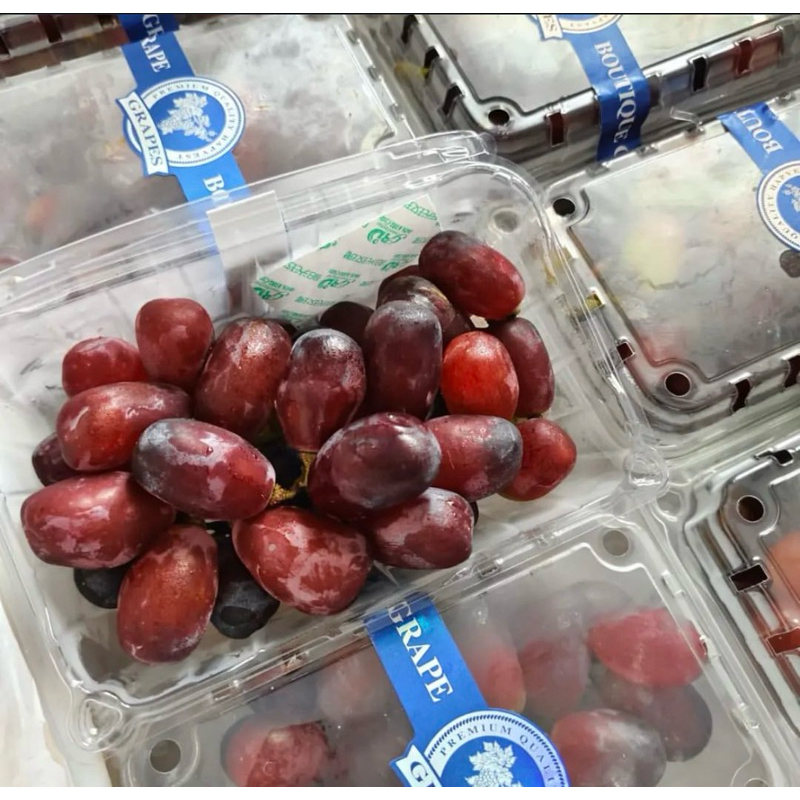 

Anggur Red Muscat 1 Pack