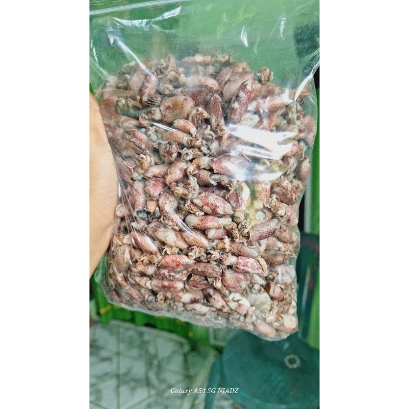 

(500g) baby cumi kering rebus darat size 2cm 3cm jumbo 500 gram