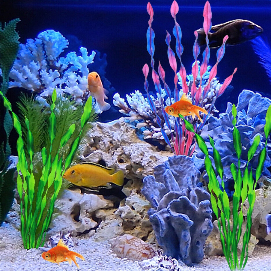 Segera Cek  Tanaman Panjang Aquarium tanaman aquarium panjang ornamen aquarium tanaman panjang tanam