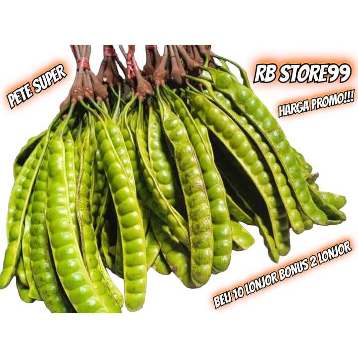 

Pete tua segar kualitas super kemasan isi 10 gratis bonus 2 papan