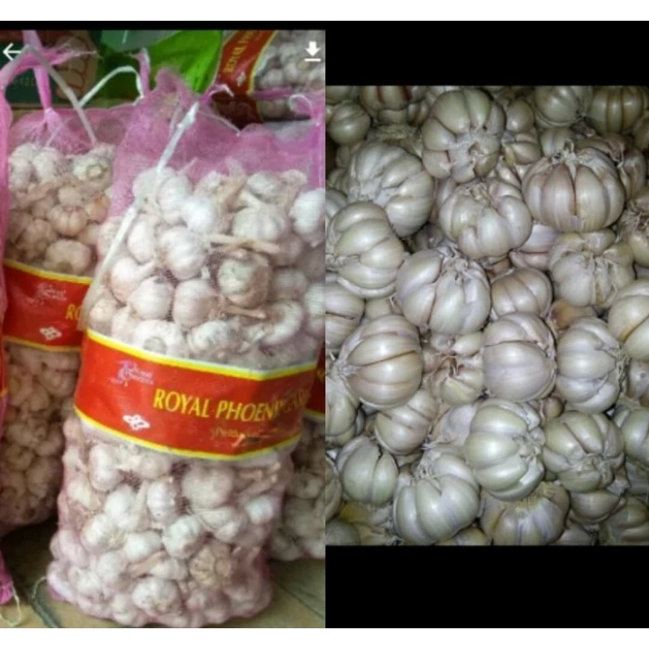 

TERMURAH!! BAWANG PUTIH HONAN / SINCO (Kotor) berat 1KG