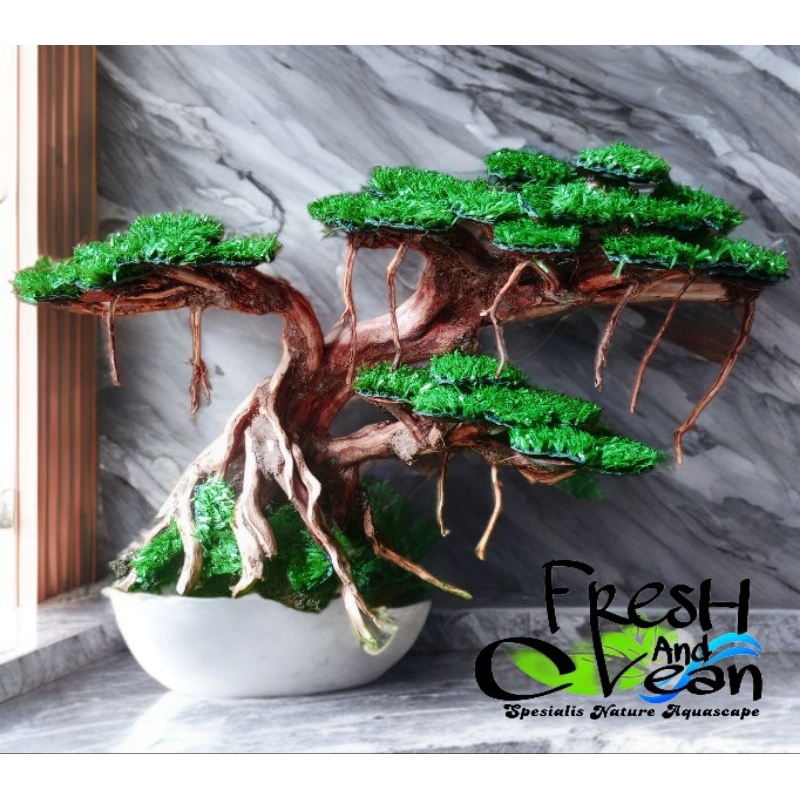 Bonsai Aquascape Triple Size L Bonuss Moss Weeping