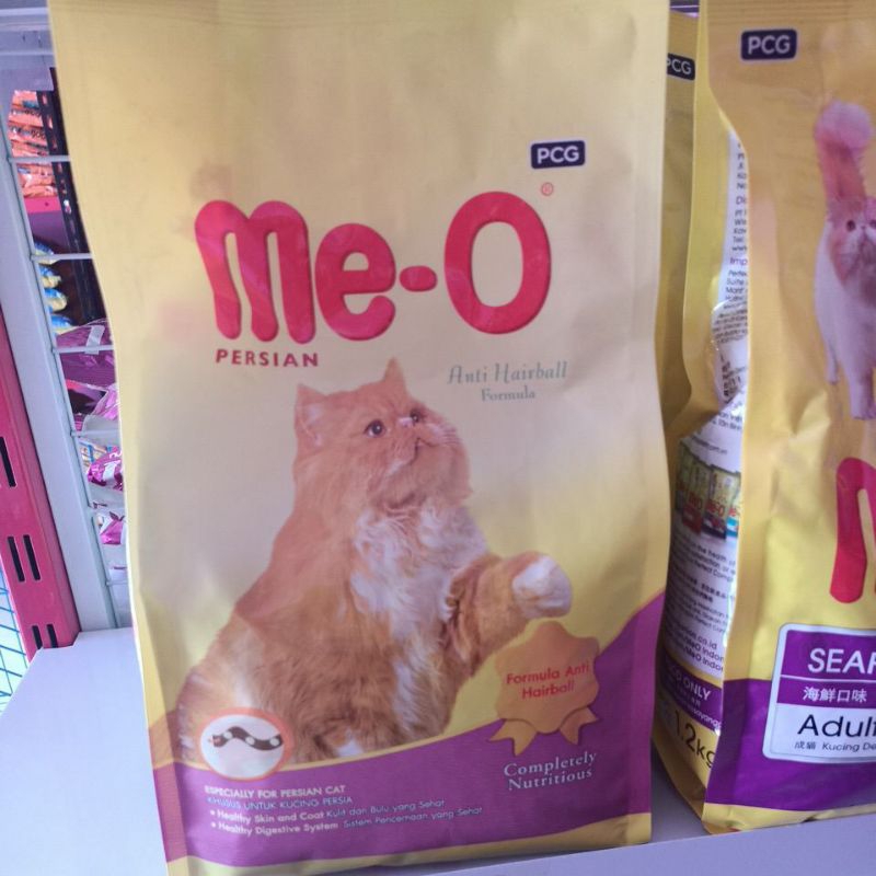 Meo Persian makanan kucing
