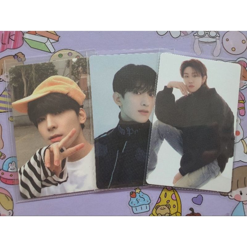 Seventeen Wonwoo Henggarae Boboiboy