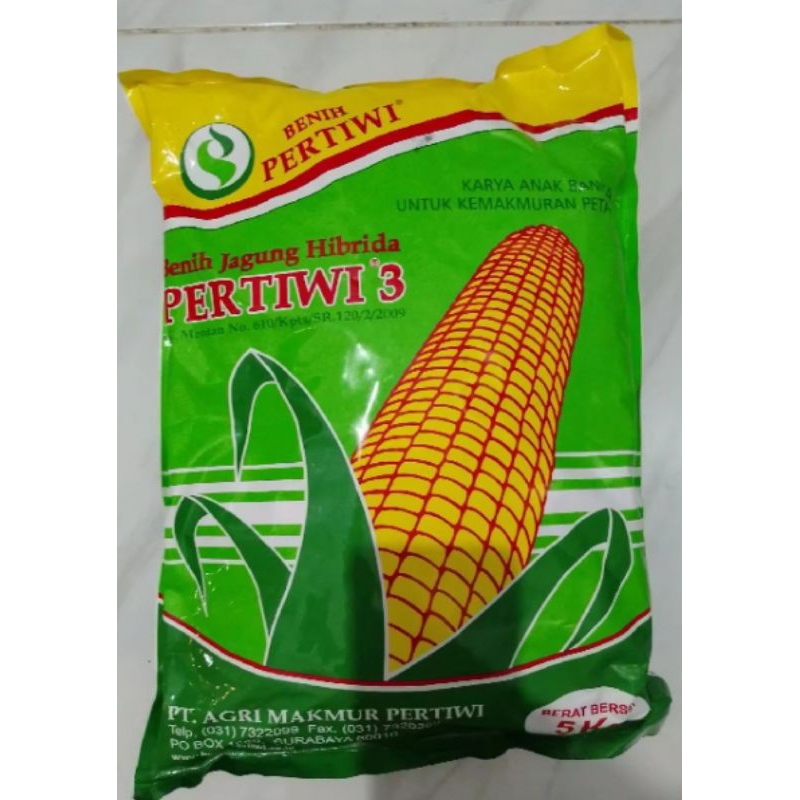bibit benih jagung hibrida pertiwi3 5kg