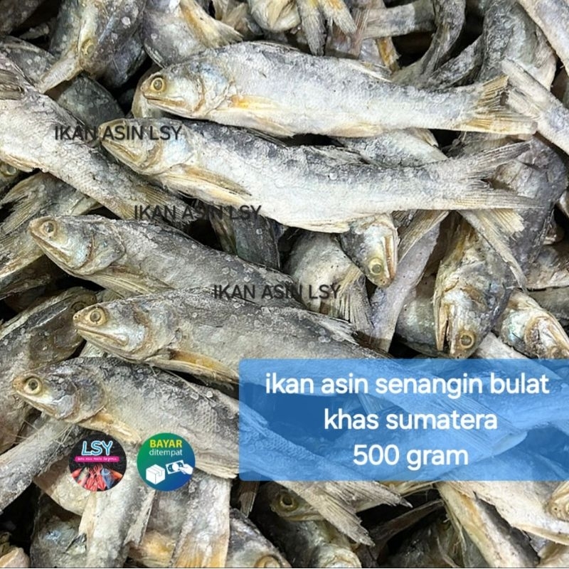 

ikan asin senangin bulat khas sumatera 500gram