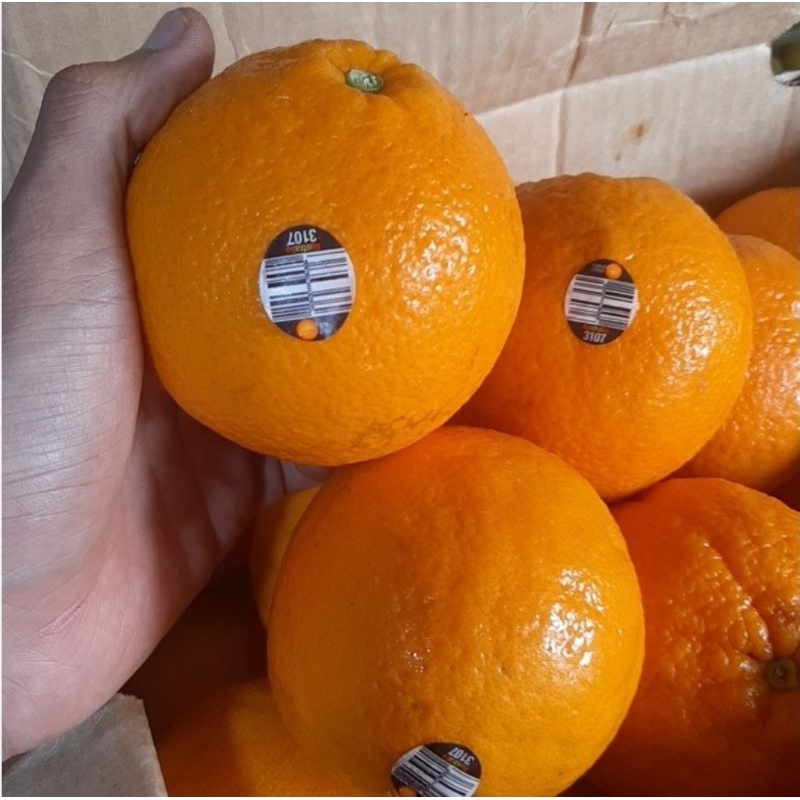 

sunkist navel