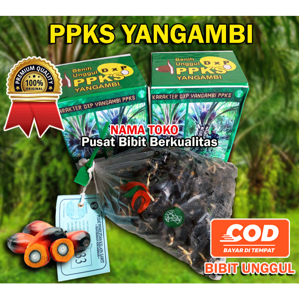 bibit Sawit PPKS Yangambi Unggul ( Bersertifikat )