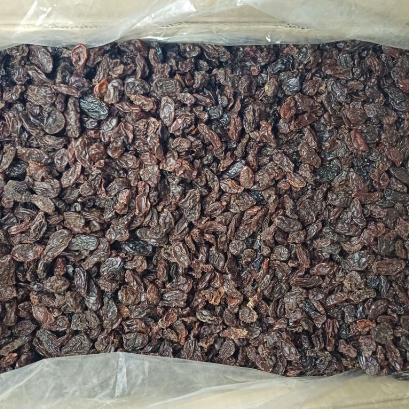 

kismis hitam india dark brown raisins 10kg