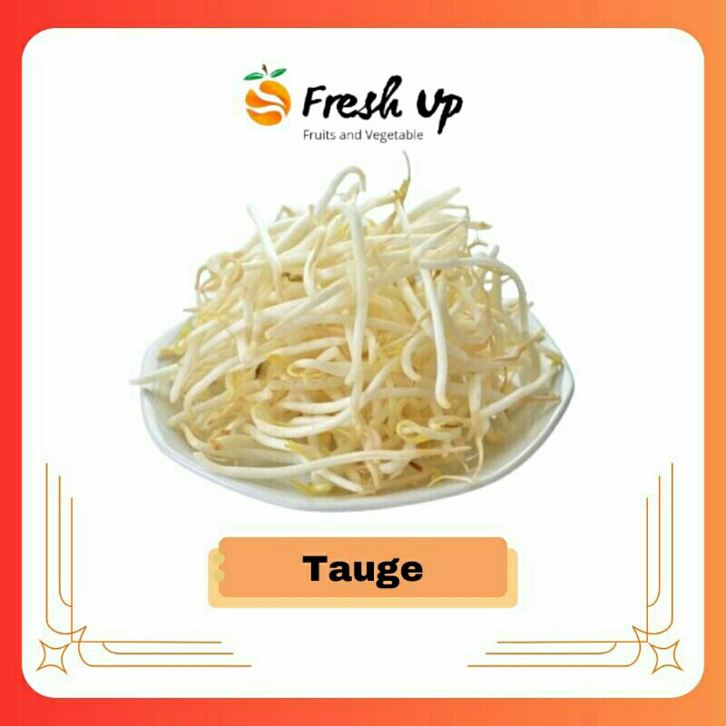 

Tauge Lokal Fresh 250 gr | FreshUp