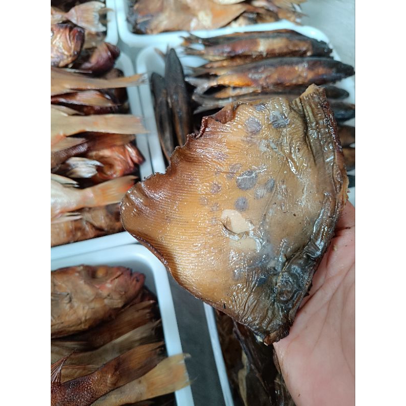 

Ikan Pari Pe Asap RJ Fish