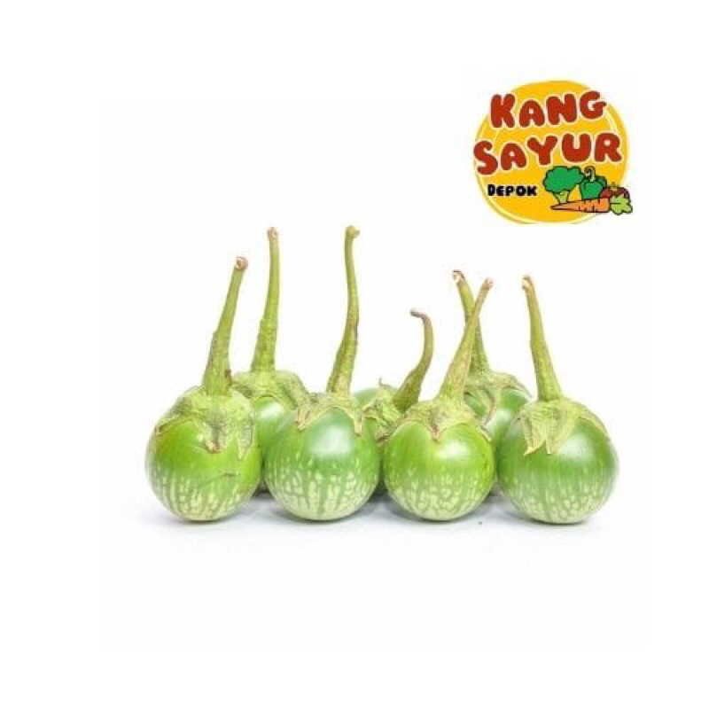

TERONG BULAT 250 gr