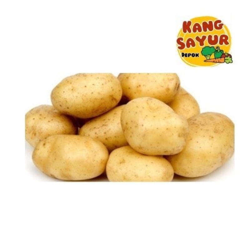 

KENTANG 500 gr
