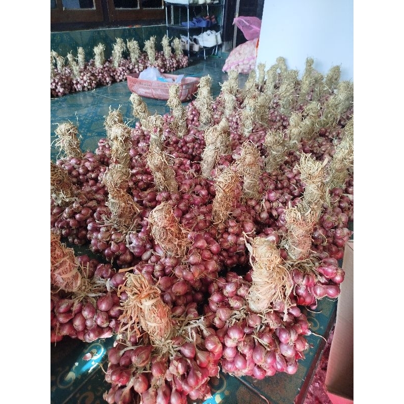 

BAWANG MERAH OMBYOK.AN