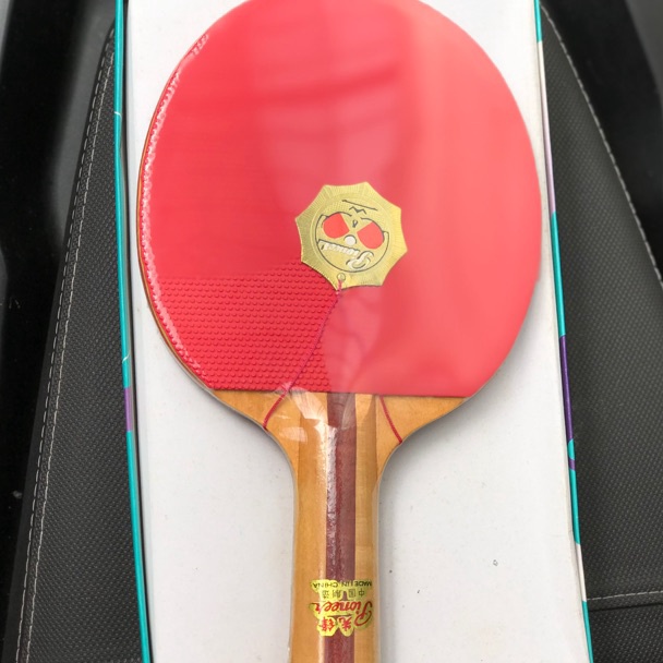 Terbaik BET PINGPONG TENIS MEJA PIONEER SHAKEHAND BINTIK