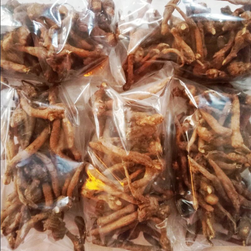 

Temu Kunci/ Bumbu Dapur/ Empon Empon/ Rempah 250 gram
