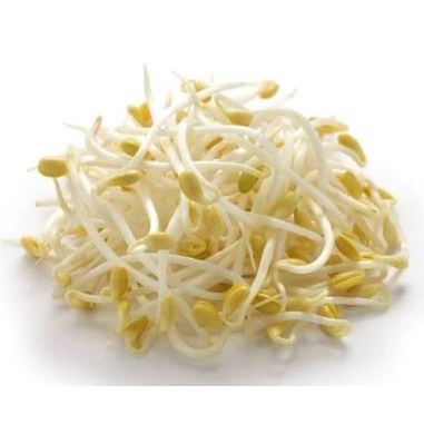 

Tauge Fresh Segar 100 Gram Fresh Box