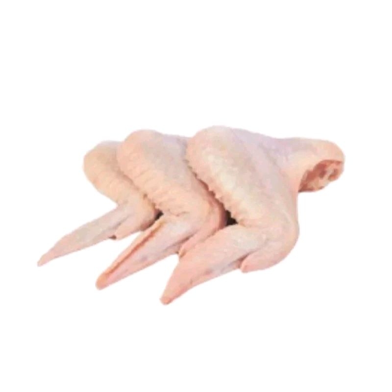 

SayapAyambroilerfres1kg