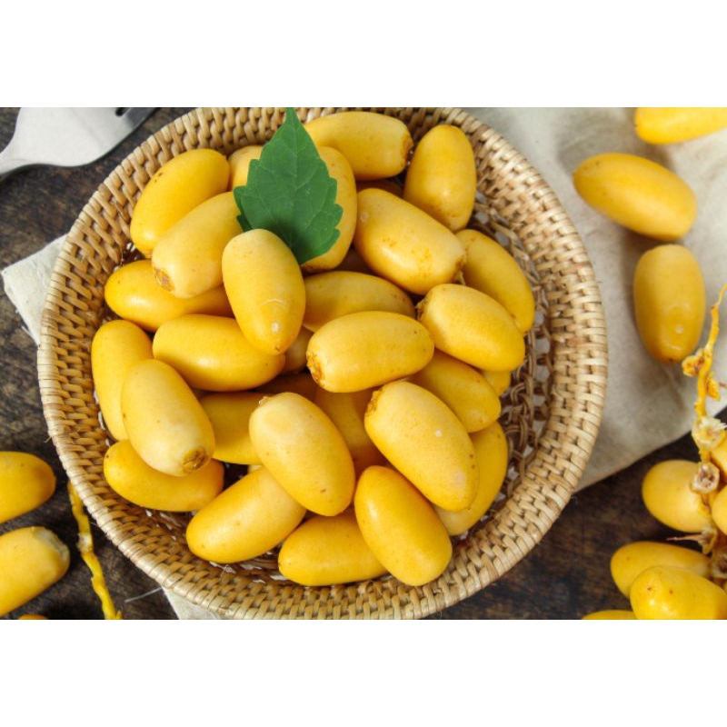 

Kurma muda barhee 1kg, kurma ruthab premium 1kg. kurma ruthab matang.