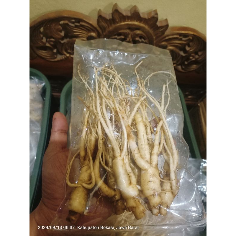 

Gingseng merah korea paketan murah