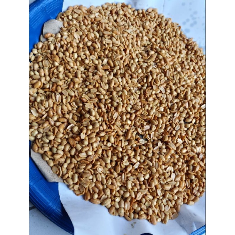 

kacang bawang