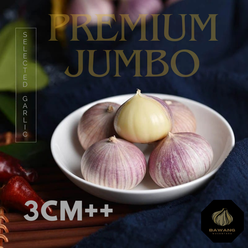 

Bawang Putih Tunggal Lanang JUMBO 3 CM