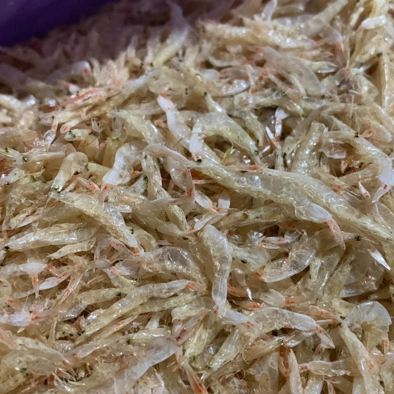 

Undang Papai Kering Khas Tabanio