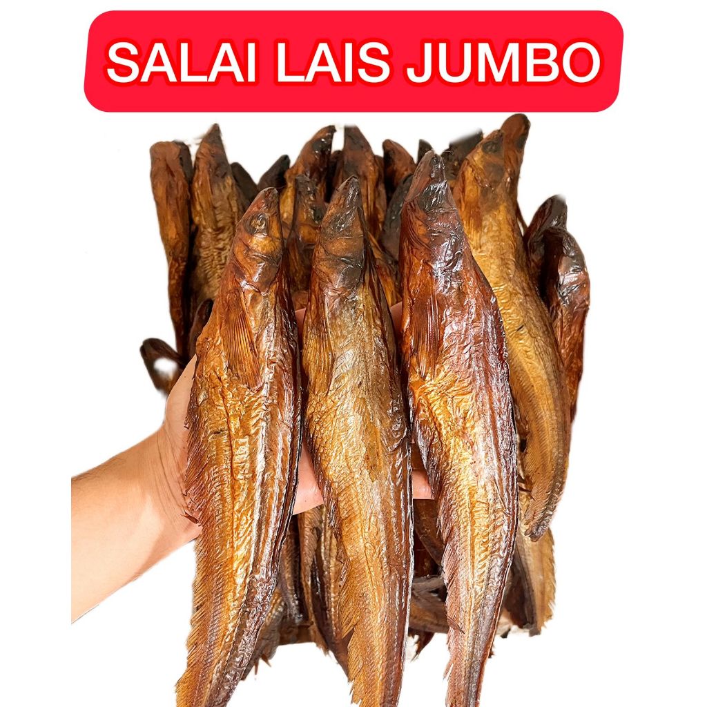 

Salai Ikan Lais Besar Sedang 100 Gram - Nikmat dan Kaya Akan Protein