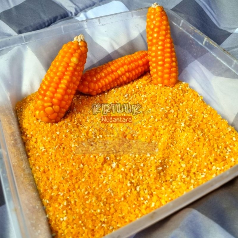 

Beras Jagung asli Madura, Beras Jagung untuk Masak Nasi Jagung