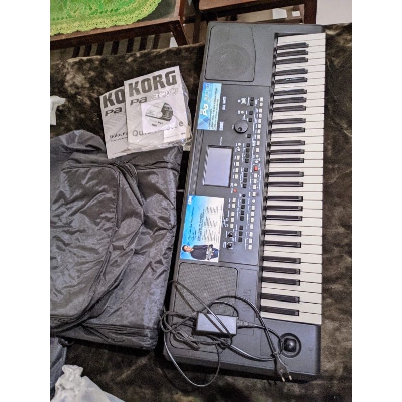korg pa300