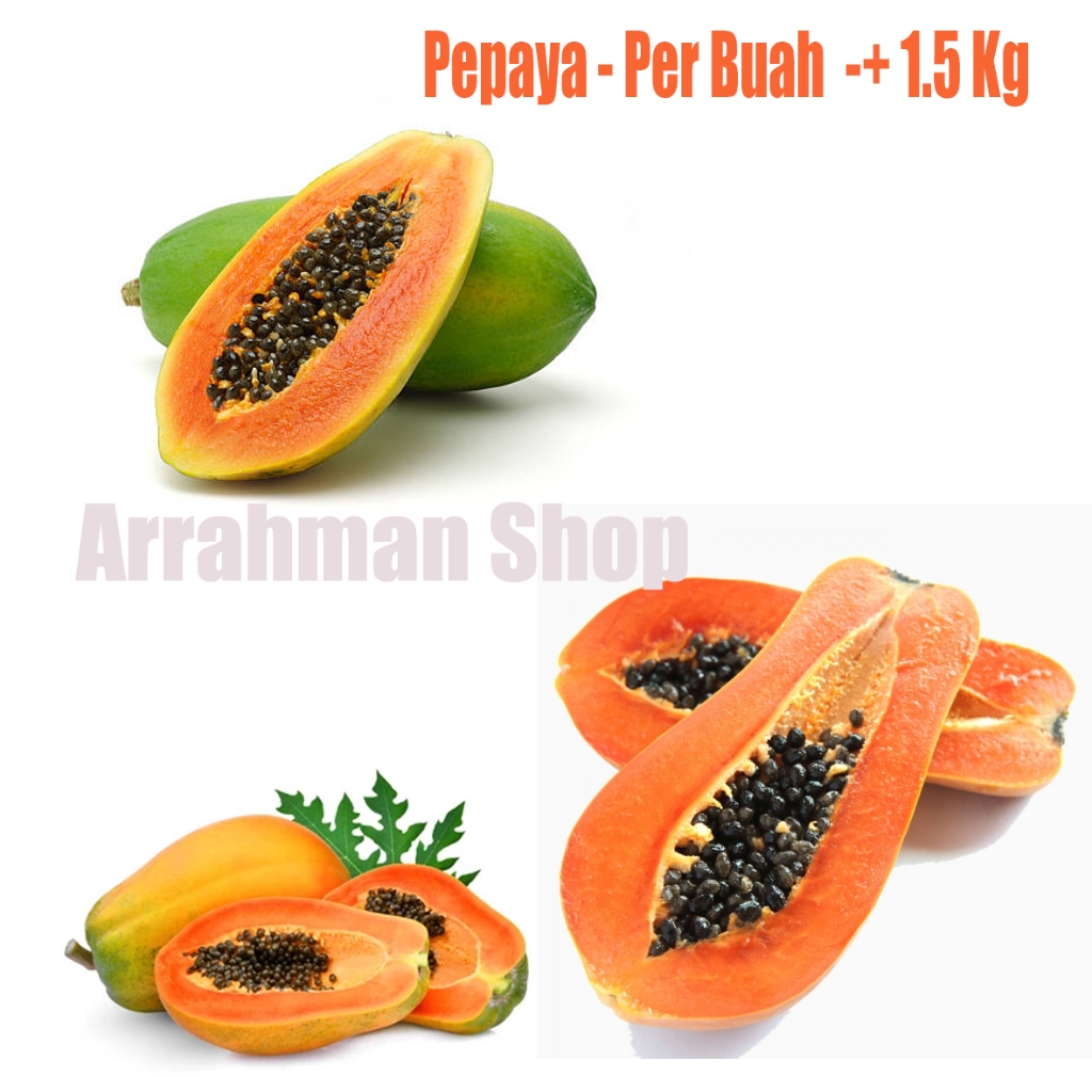 

Pepaya - Per Buah buah pepaya segar berkualitas super 1 buah utuh