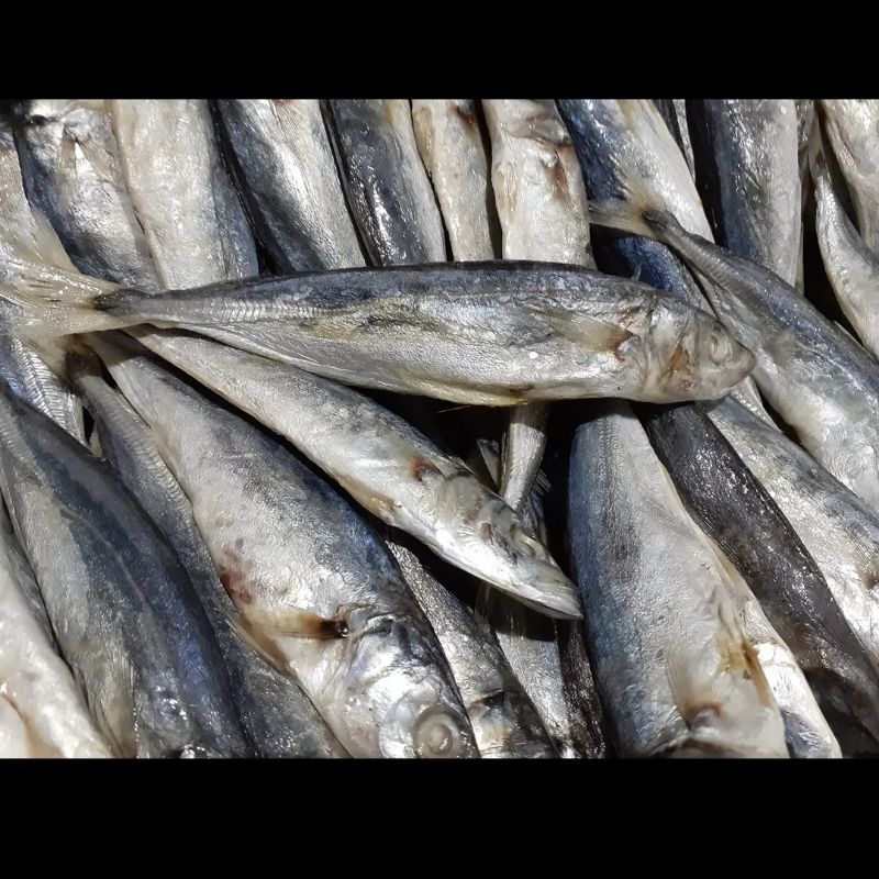 

Ikan asin japuh layang 250gr