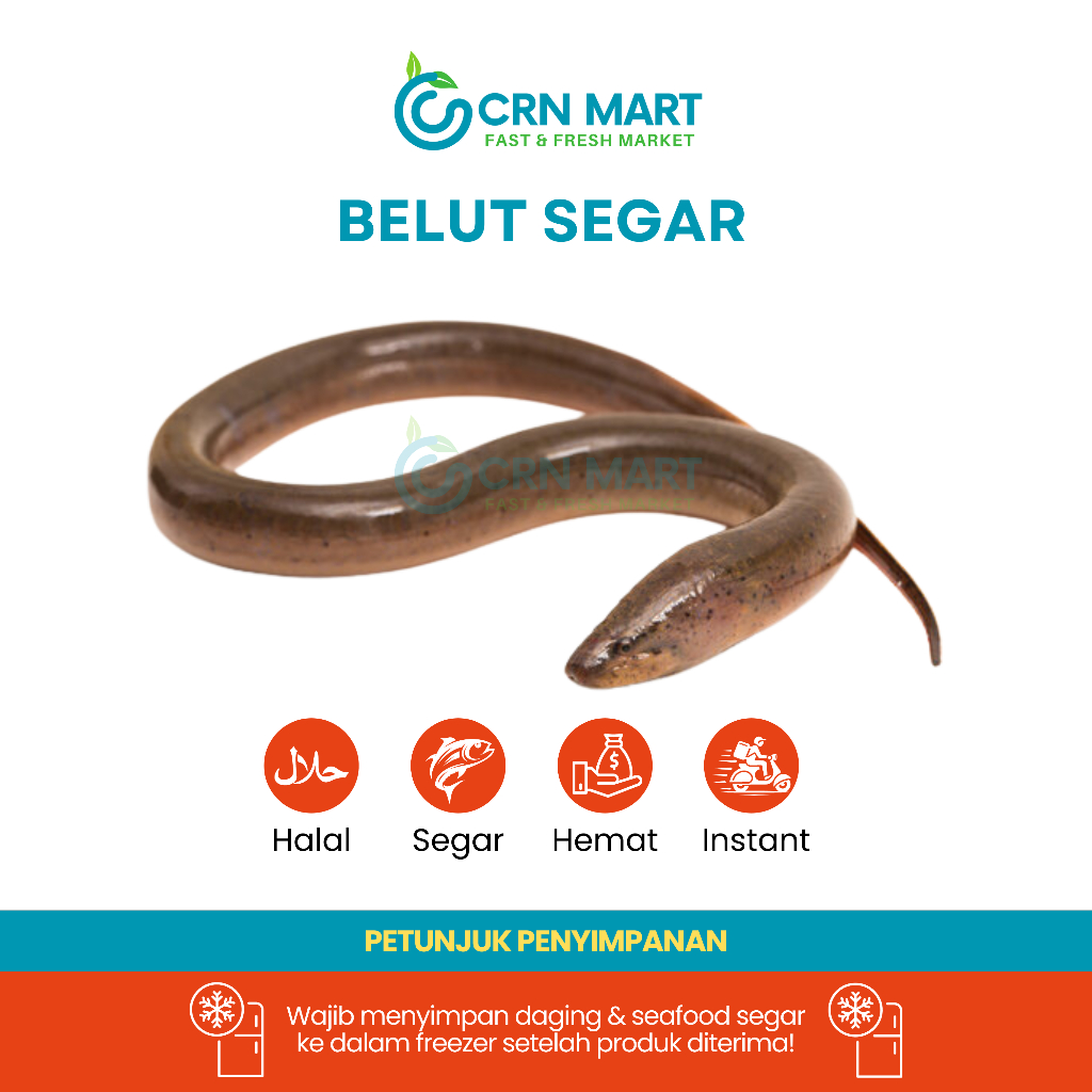 

CRN MART - Ikan Belut Segar/Ikan Air Tawar Segar/Ikan Belut Hidup