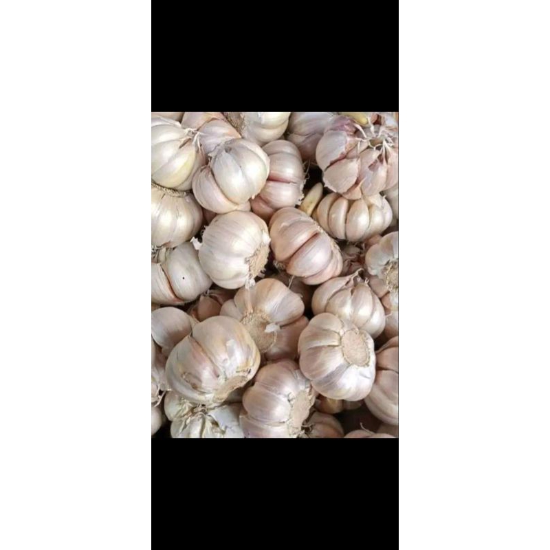 

Bawang Putih 1kg fress