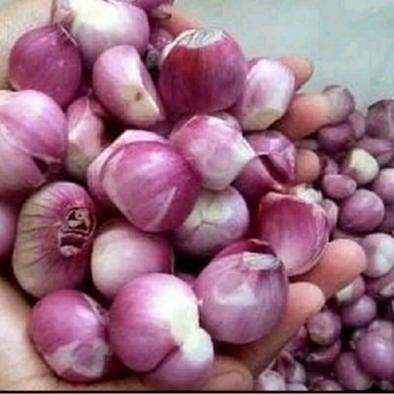 

bawang merah kupas 1000 g