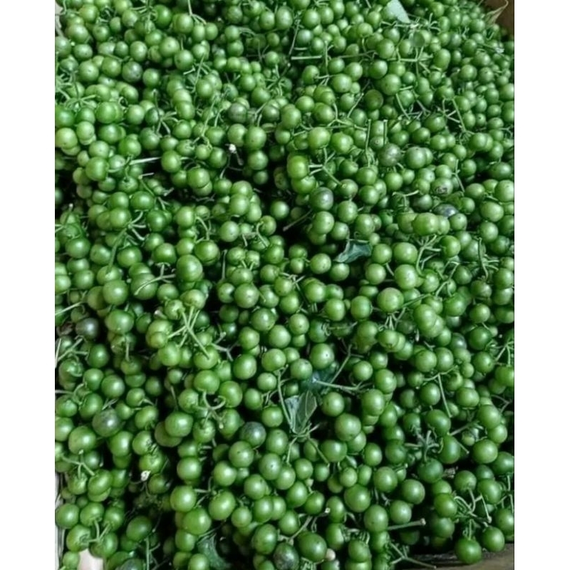 

sayuran dan lalaban buah lenca press 500grm