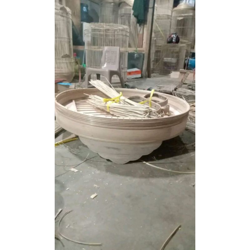 sangkar ambrukan murai, Kacer halusan