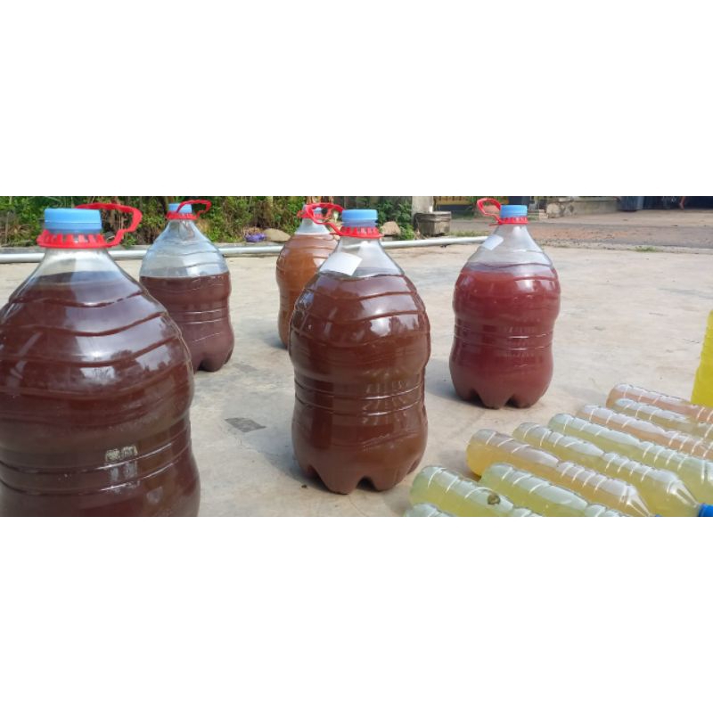psb bakteri fotosintesis biang psb pupuk organik cair psb jakaba npk psb merah bibit psb pupuk jakab