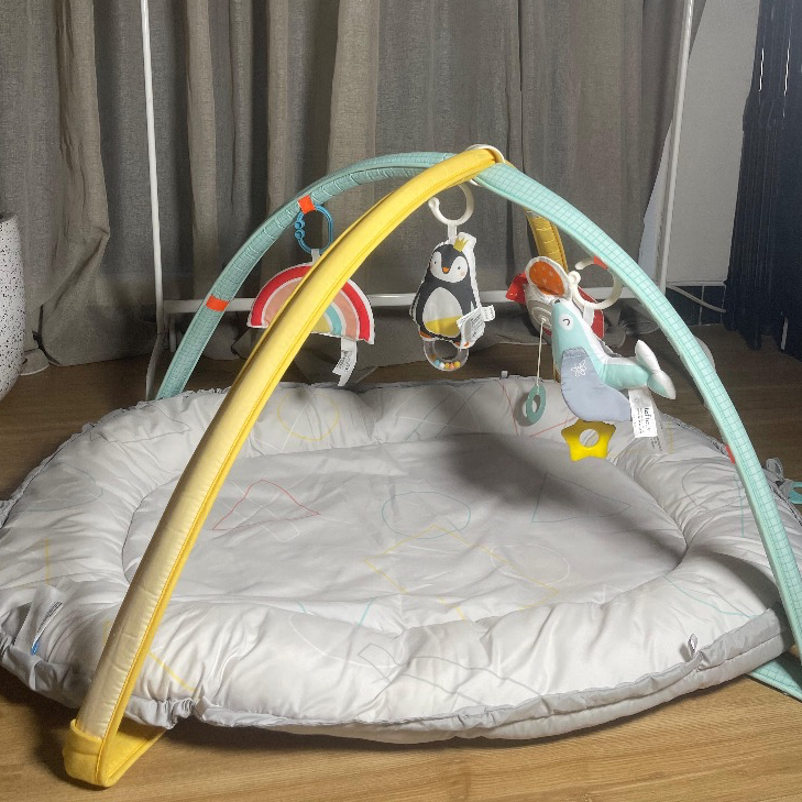 Taf Toys koala newborn cosy gym playmat PRELOVED - 04