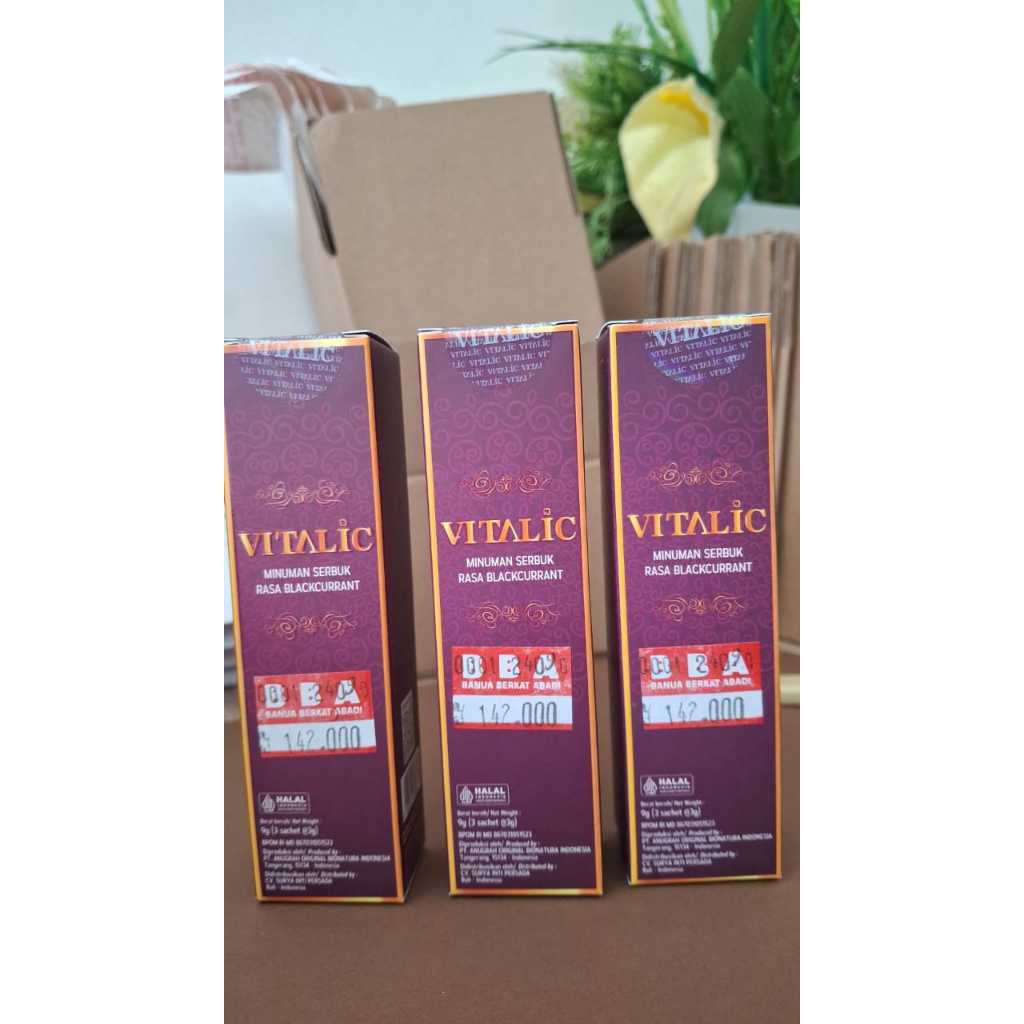 VITALIC | ISI 9 BUNGKUS | HERBAL VITALITAS PRIA | PERPANJANG DURASI STAMINA | BPOM & HALAL
