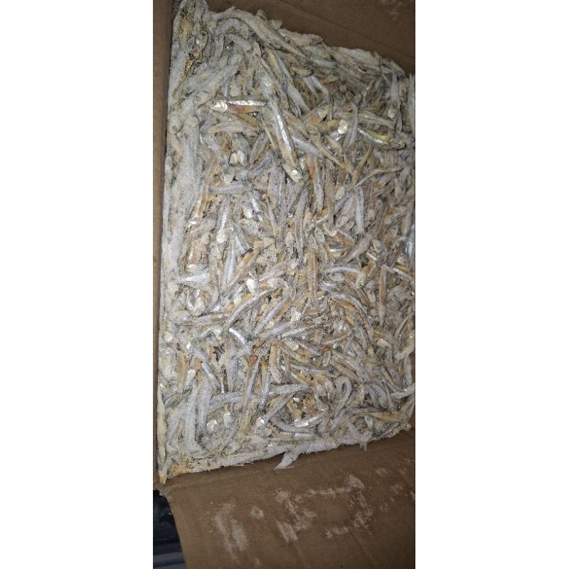 

TERI JENGKI ASIN murah