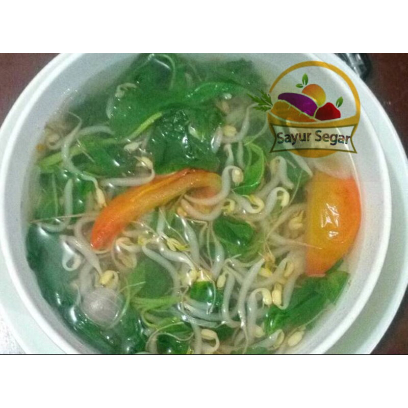 

Sayur Segar Siap Saji Bayam Tauge Bening